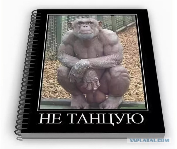 Что мешает плохому танцору. Поговорка плохому танцору что мешает. Плохому танцору всегда мешает. Карикатуры для взрослых. Плохой танцор карикатура.