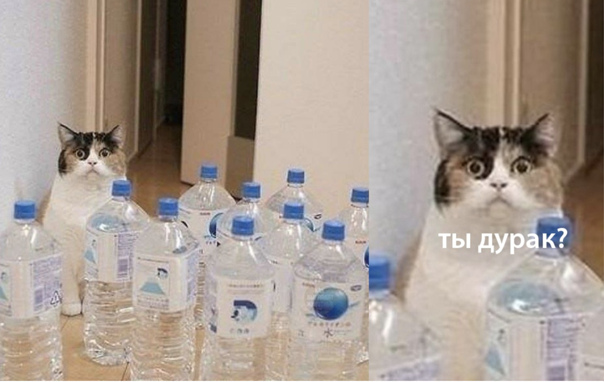 Подлая у тебя душонка, Наташа...