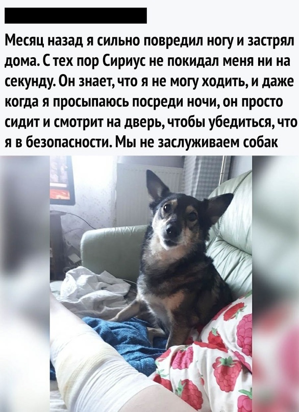 Картинки и мемы, всем хороших выходных