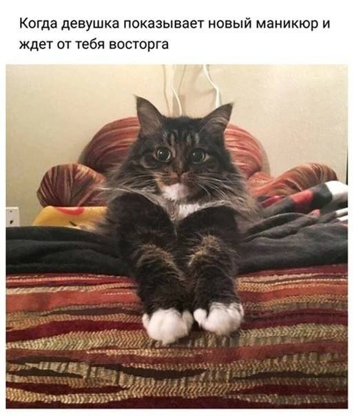 Немного картинок для настроения - 137
