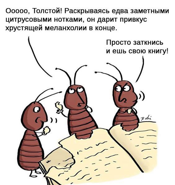 Картинки и мемы для настроения - 167