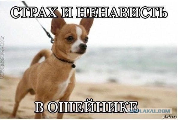 Россия должна распасться на целый ряд мелких государств