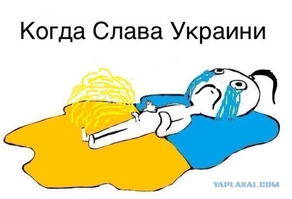 В России предложили посылать на конфликтные встречи депутатов наподобие Валуева