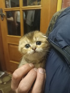 У меня в семье пополнение