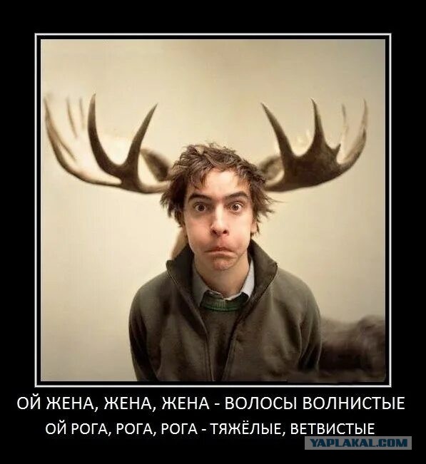 Мужики совсем офигели со своими ДНК-тестами