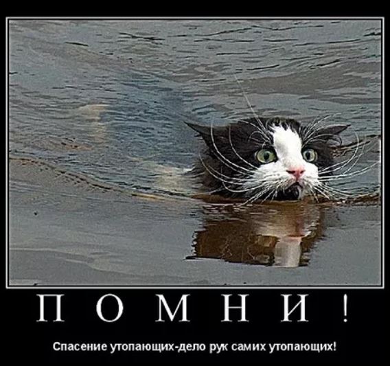 Без врага жизнь скучна, а с врагом - интересна