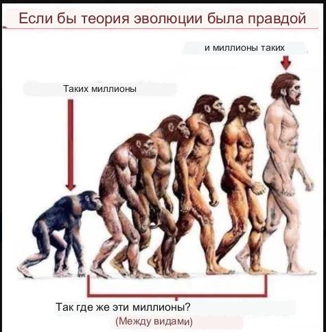 Подобрали обезьянку