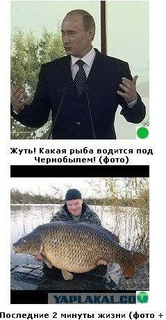 Автодемотиватор на ЯПе