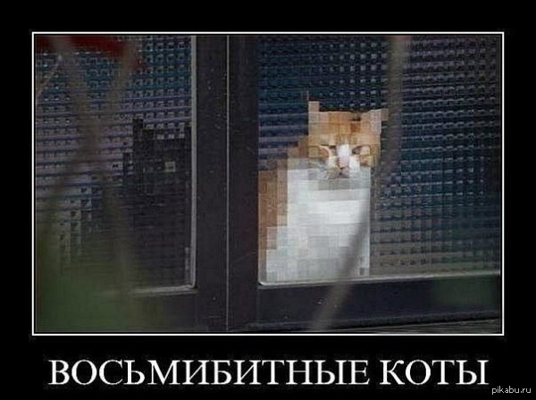 Тест на мемолога