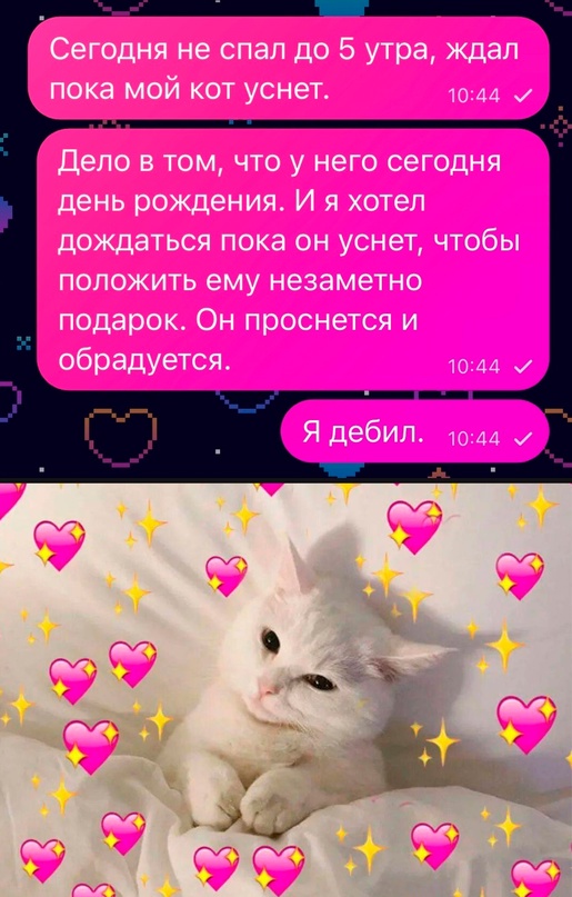 Весёлый полтишок 02.04.24