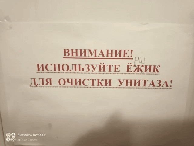Перлы 04.06.24