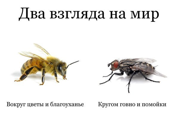 Сельская романтика⁠⁠
