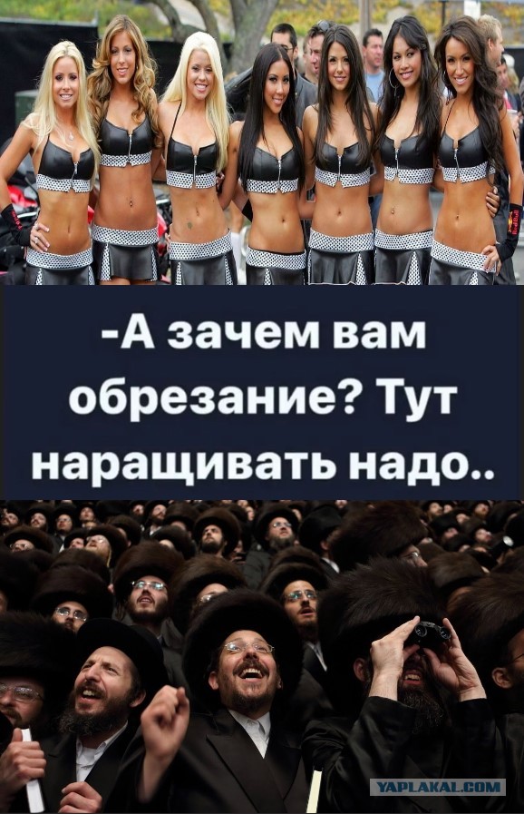 Я, видимо, плохо знаю евреек. Они все такие?