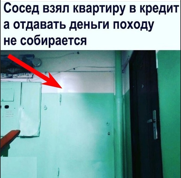 Так себе картинки 21.10.24