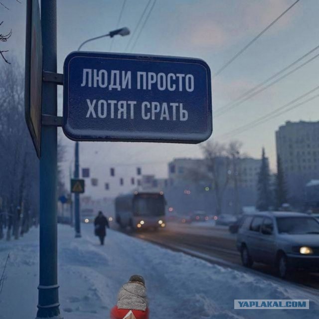 Нуштош 07.02.2025. Так же близко (s3e5)