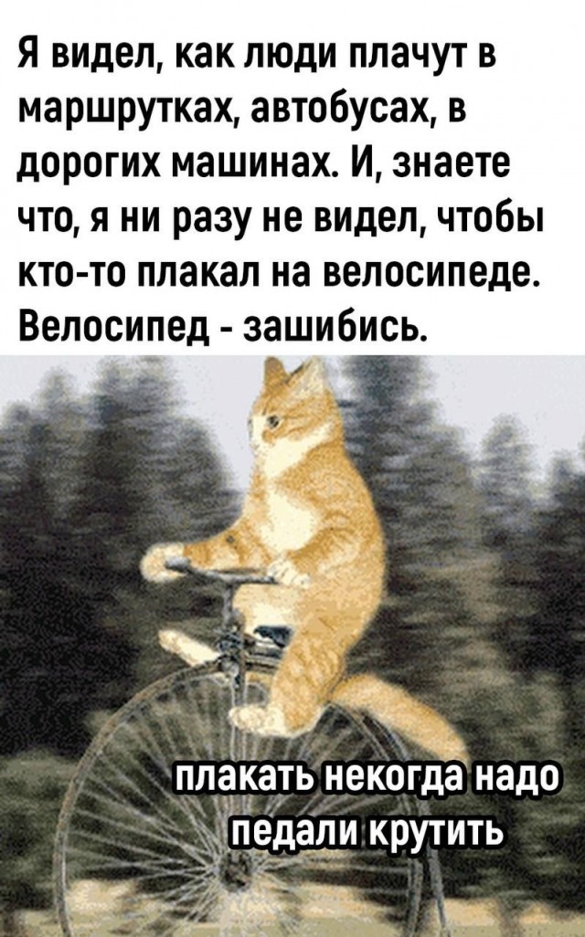 Немного мемчиков. Для взрослых. Часть 38
