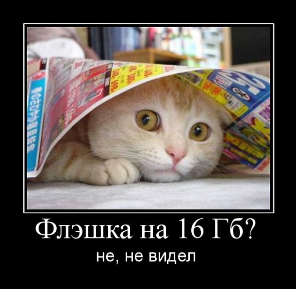 Картинки для деградации 81 (разной степени свежести)
