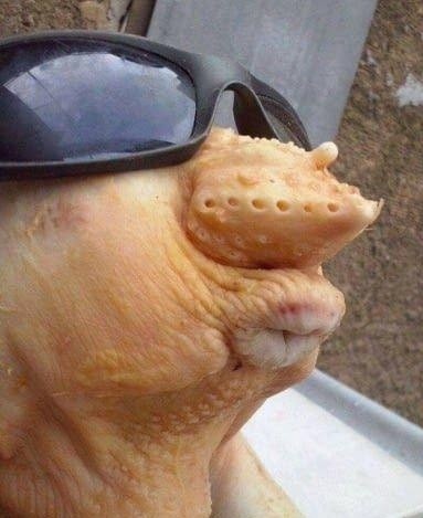 Жричёдали