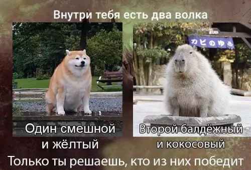 Картиночки, баянчики 21 февраля