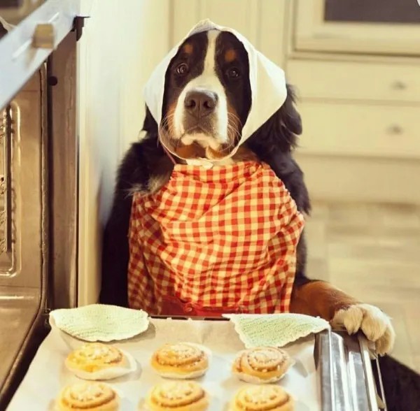 Забавные и интересные фото из Сети 23.04.26