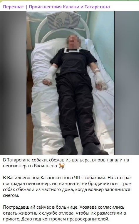Агрессивный ротвейлер напал на ребёнка в Татарстане ( деревня Куюки)