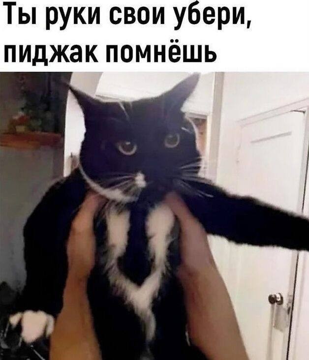Руки убрала