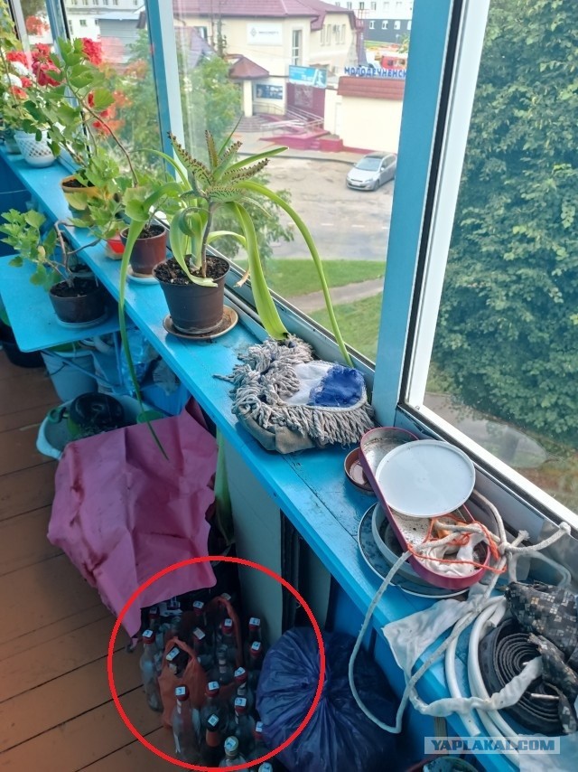 Обычное утро