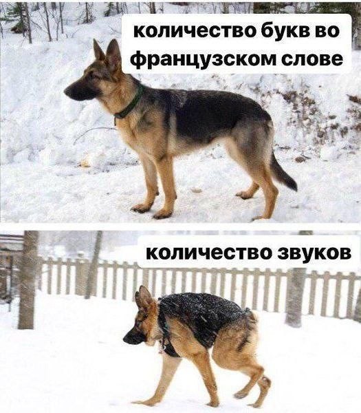 Картинки для деградации 254 (разной степени сежести)