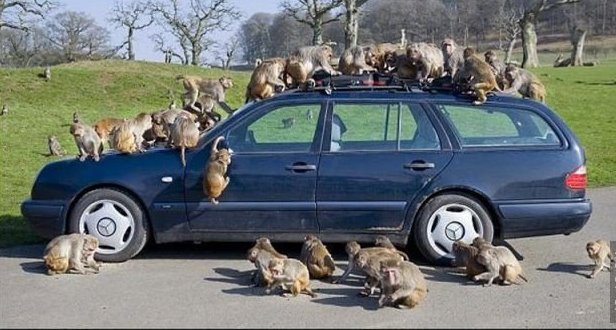 Обновленная модель