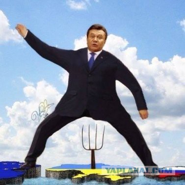 Фото дня