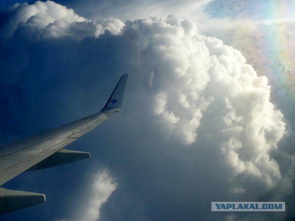 27 причин взять место у окна