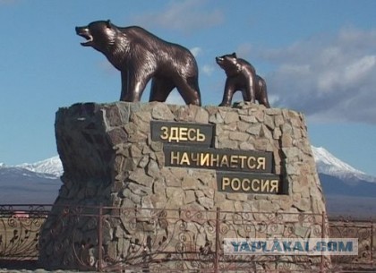 Выгуляй своего медведя, выгуляй скорее!