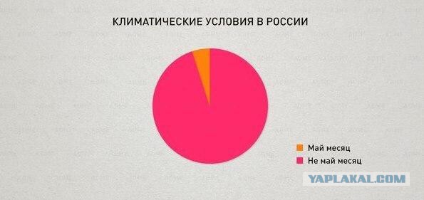 Смешные картинки