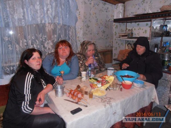 Как встретили 2015....