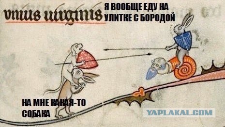Средневековое веселье