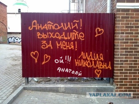 Анатолий попал...