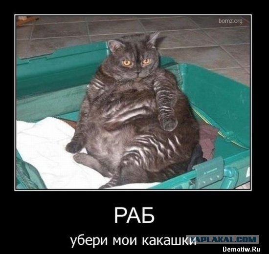 Так кто тут за главного?