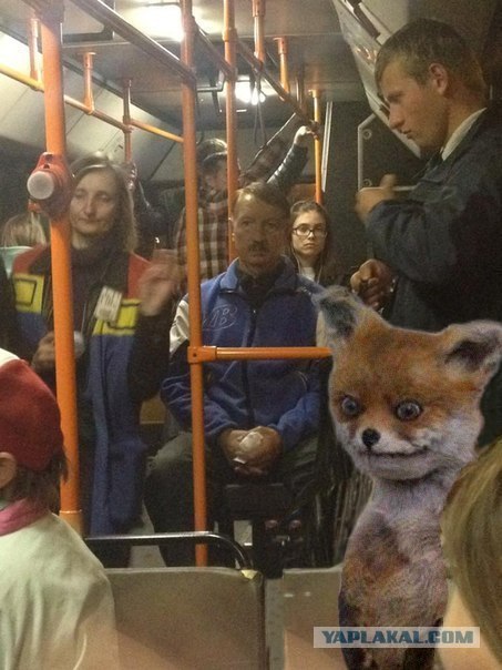 Неожиданная встреча