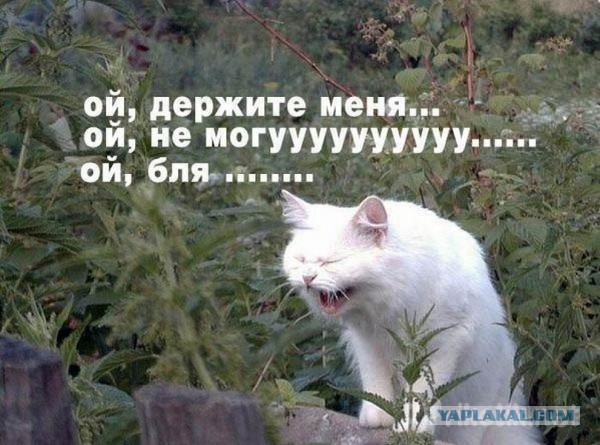 Наркоманский юмор