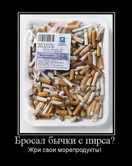 Прикольные картинки и демотиваторы