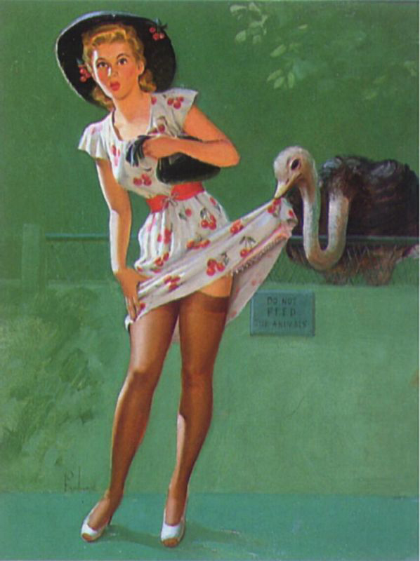 Pin-Up