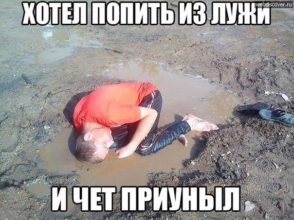 То, что улыбнуло в 2015