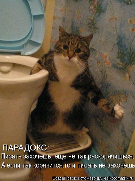 Подборка забавных картинок