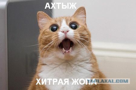 Абсурдный юмор ч.7