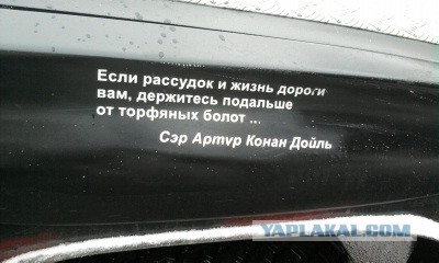 Что обычно водители пишут на своих автомобилях?