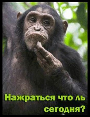 Жестокая правда об алкоголе