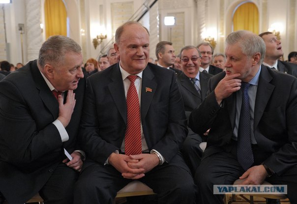 В Жириновского бросили капустой