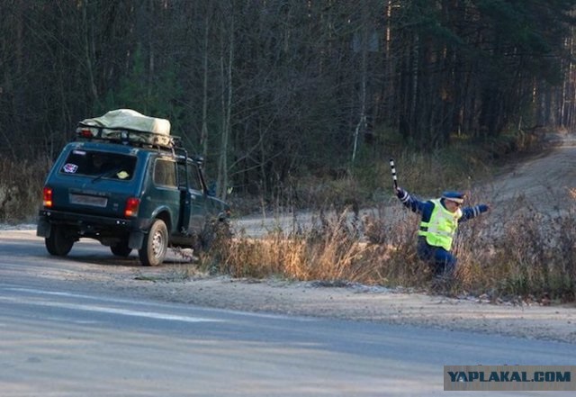 Почему в России не скучно?