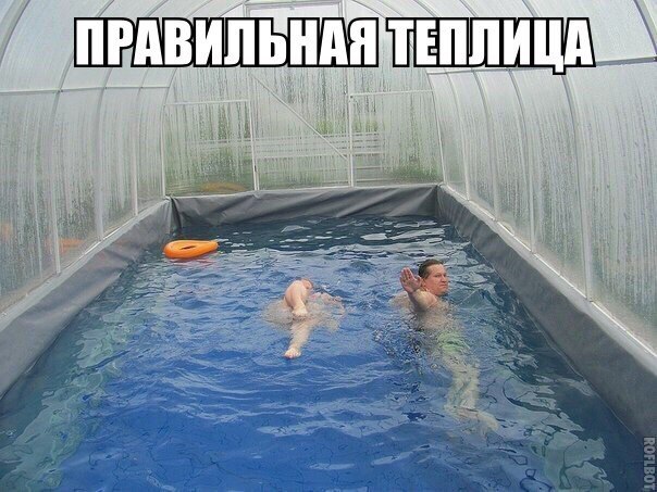 Поборка веселых фотографий