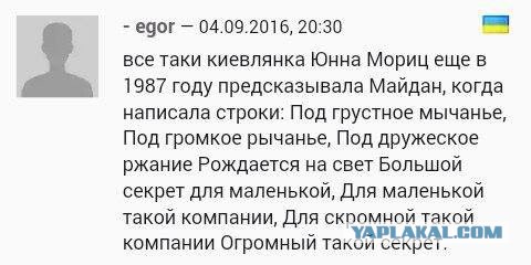 Смешные комментарии 11.09.2016